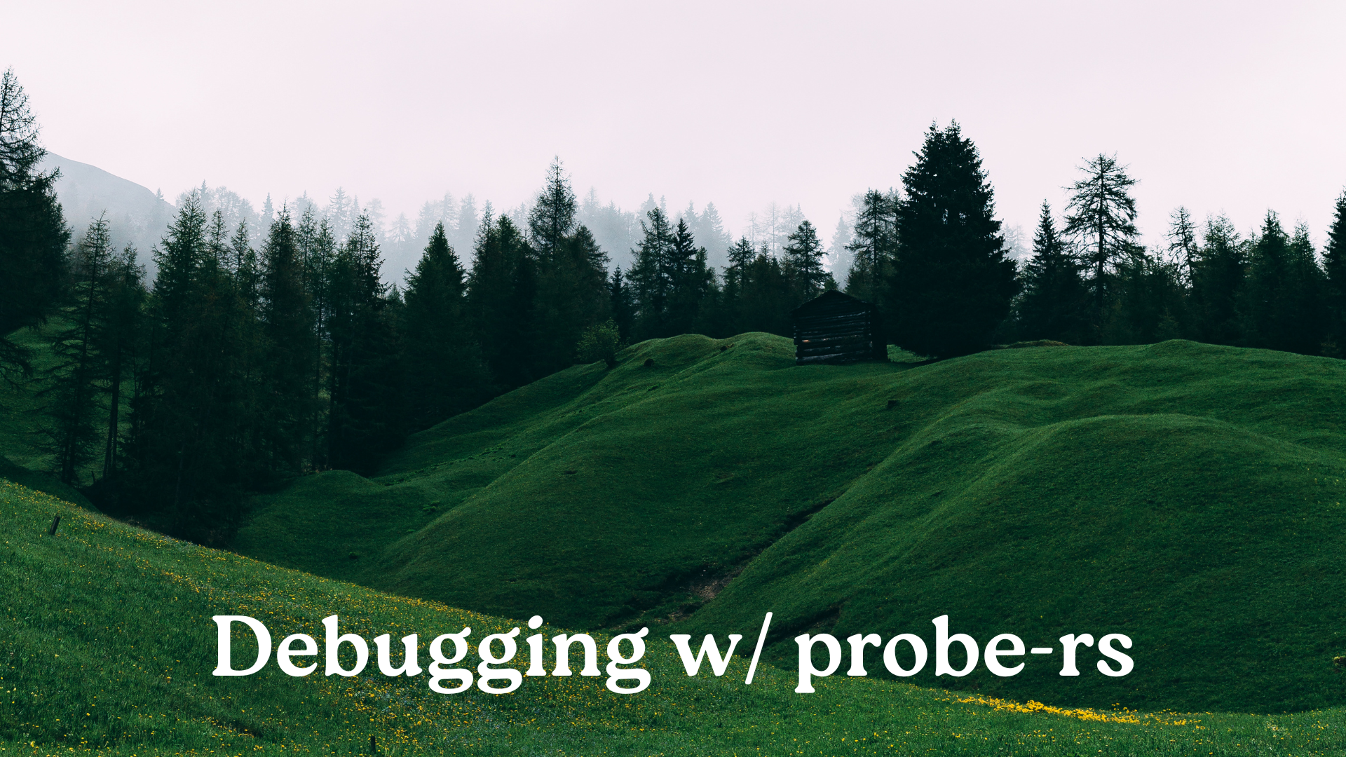 Debugging the nRF9151 Feather with probe-rs